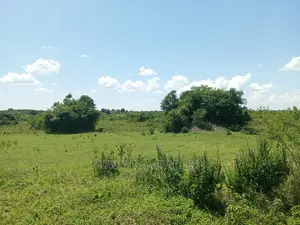 20acres Available for Sale at Luwero Kamira