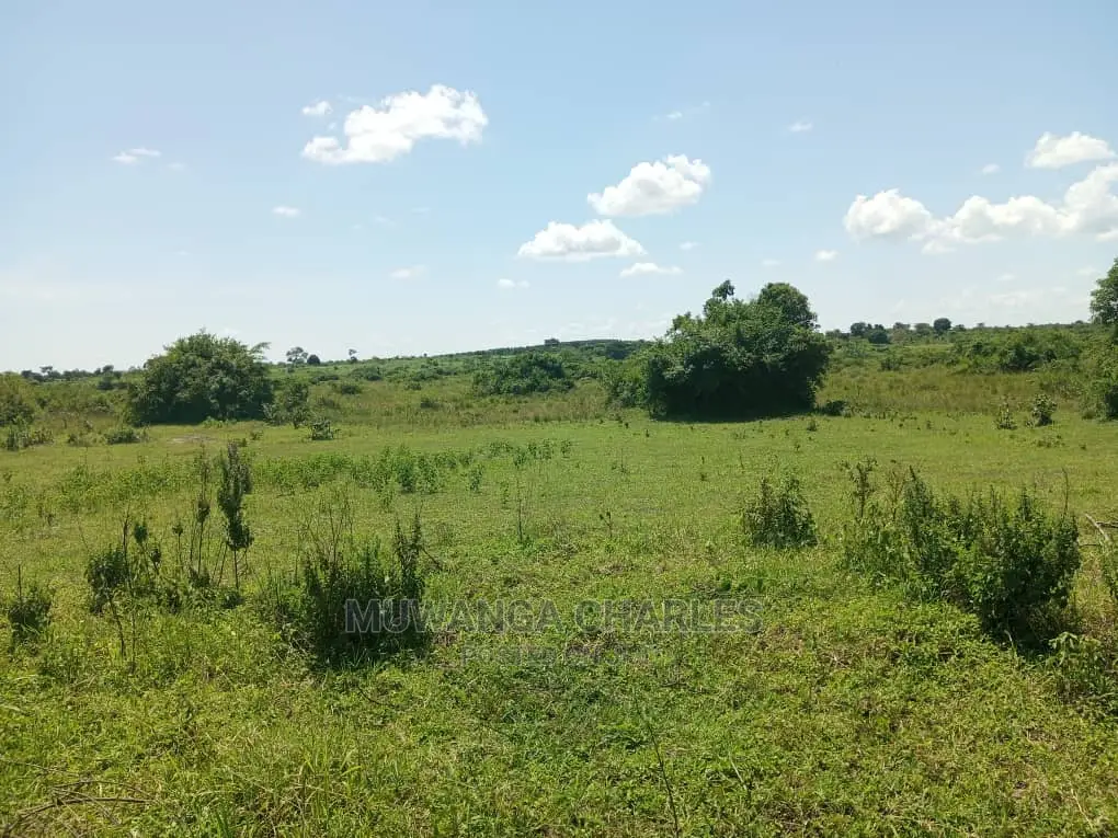 20acres Available for Sale at Luwero Kamira