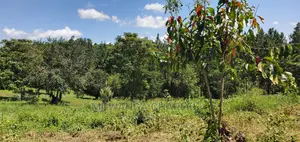 20acres Available for Sale at Luwero Kamira