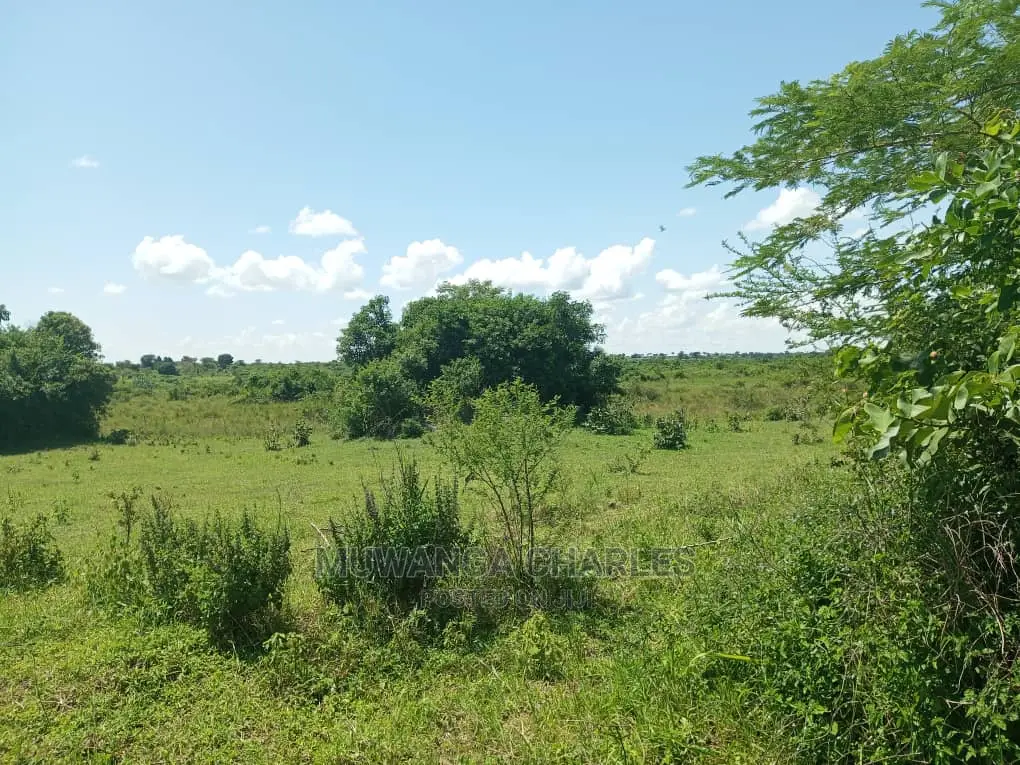 20acres Available for Sale at Luwero Kamira