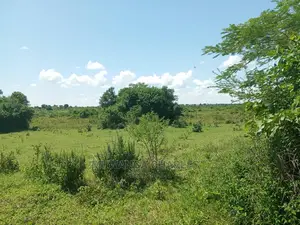 20acres Available for Sale at Luwero Kamira