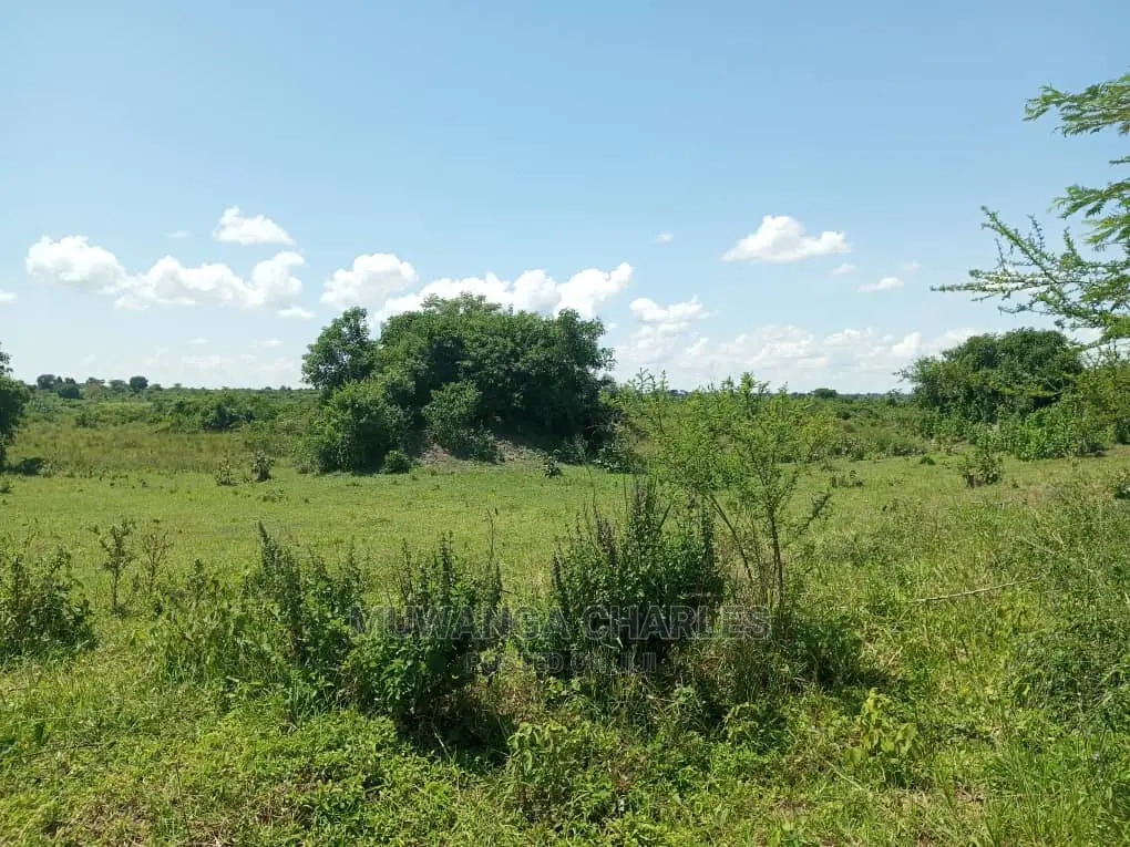 20acres Available for Sale at Luwero Kamira