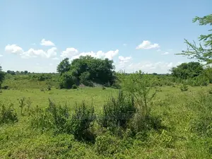 20acres Available for Sale at Luwero Kamira