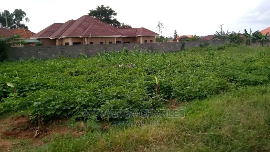 12decimals Plot of Land Available for Sale at Kungu
