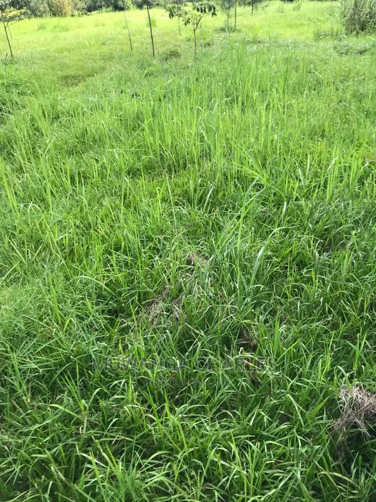 2acres of Land for Sale at Janda