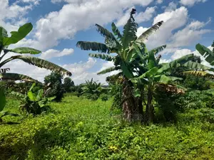 2acres of Land for Sale at Janda