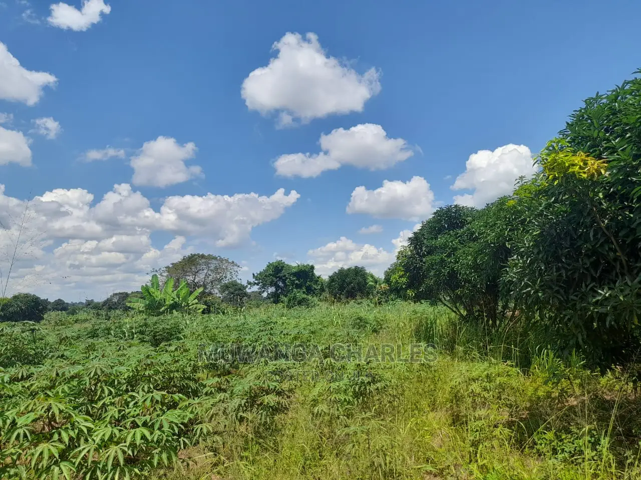 2acres of Land for Sale at Janda