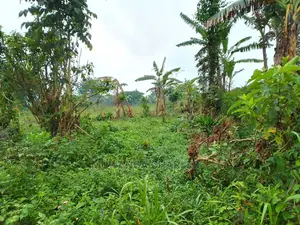 2acres of Land for Sale at Janda