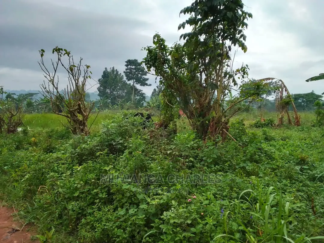 2acres of Land for Sale at Janda