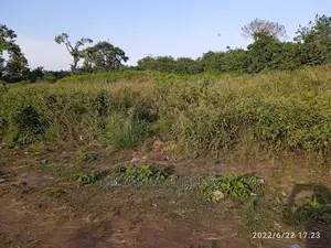25decimlas Plot for Sale at Gayaza Namaina