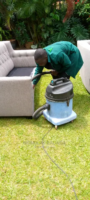 Sofa Cleaners at Affordable Price