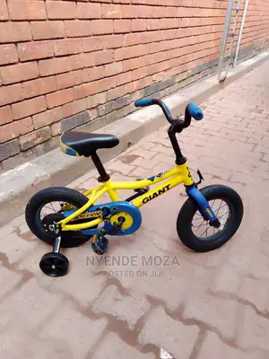 Giant Ufq One Kids Bike