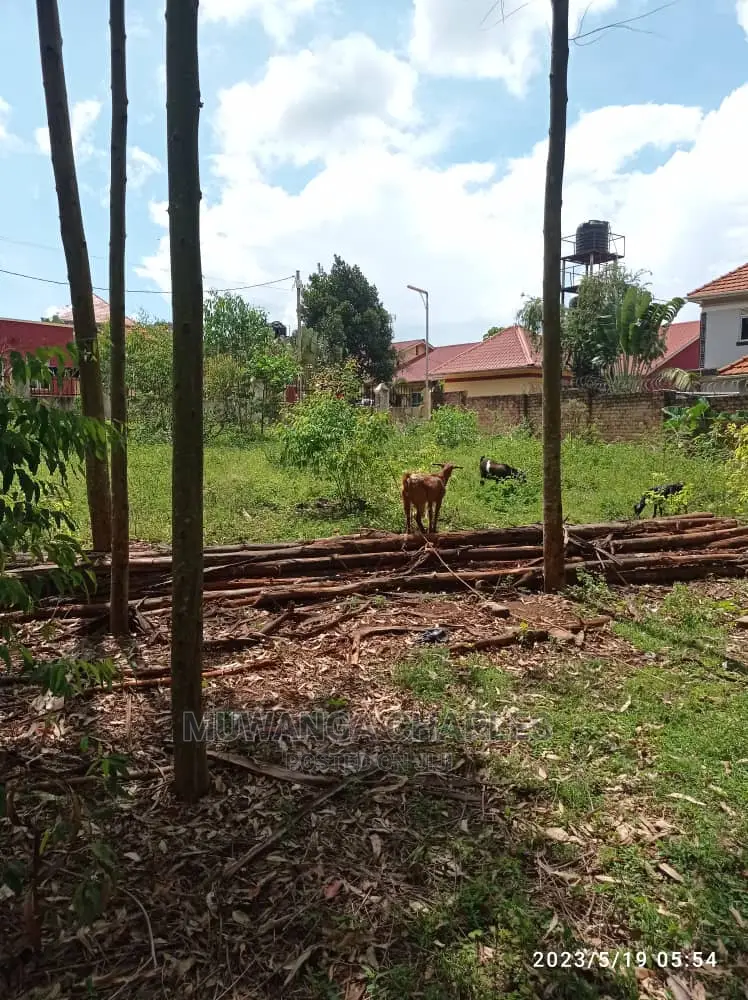 Plot's Available for Sale at Kira Kimwanyi