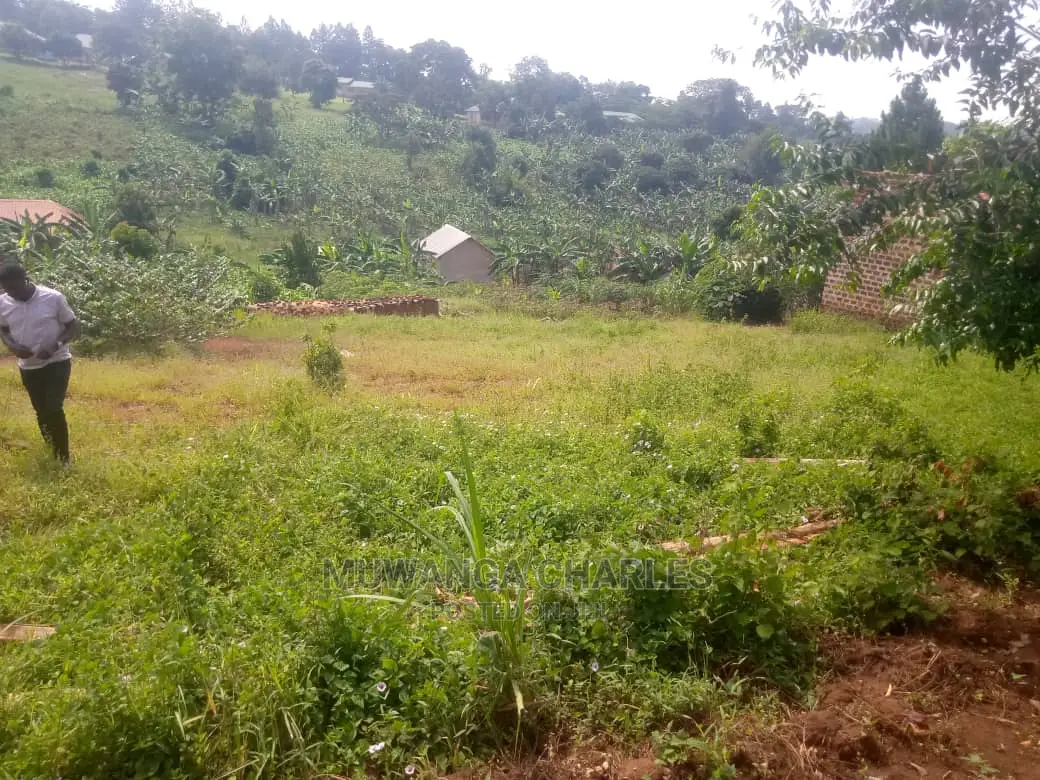 12decimals Plot of Land for Sale at Gayaza