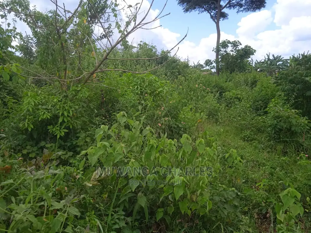 Land Available for Sale at Zirobwe Wabutungulu