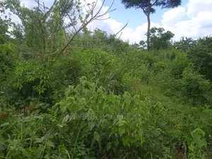 Land Available for Sale at Zirobwe Wabutungulu