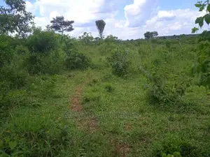 Land Available for Sale at Zirobwe Wabutungulu