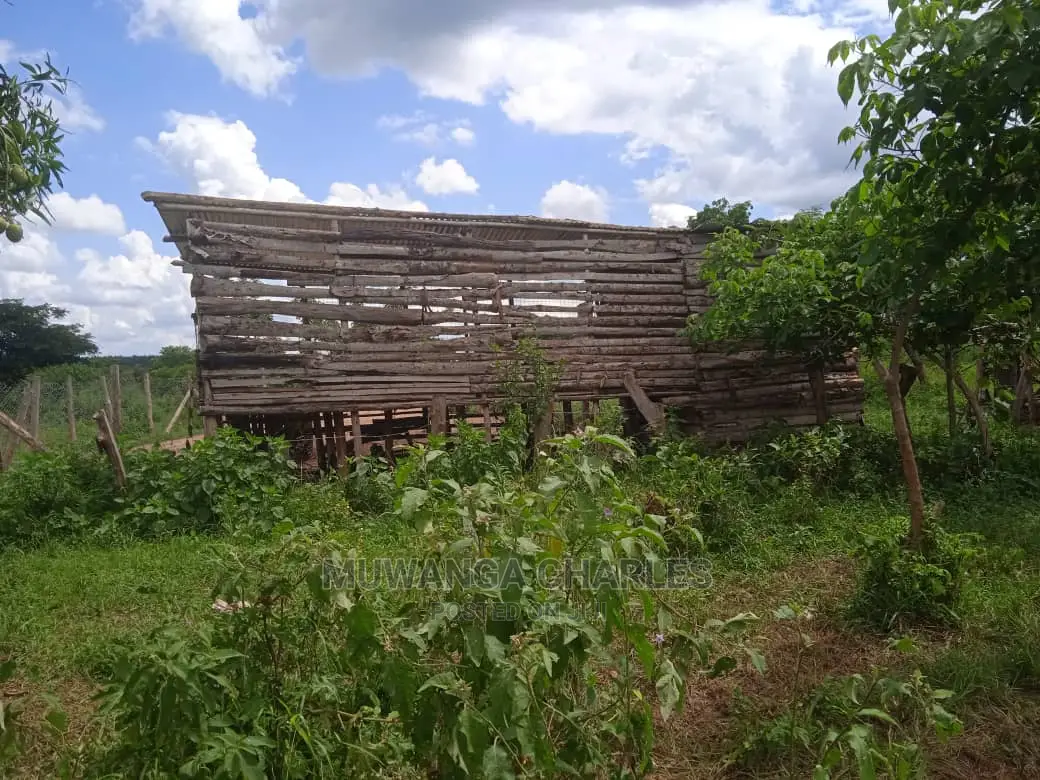Land Available for Sale at Zirobwe Wabutungulu