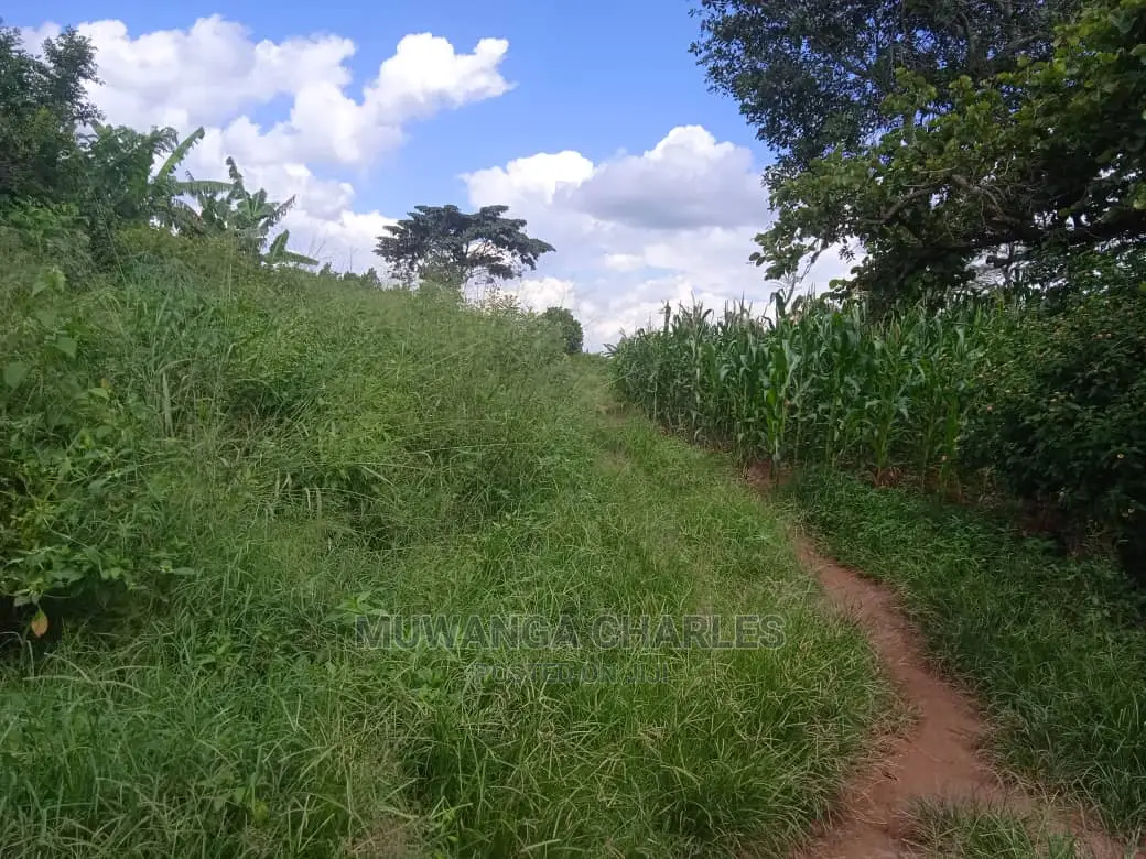 Land Available for Sale at Zirobwe Wabutungulu