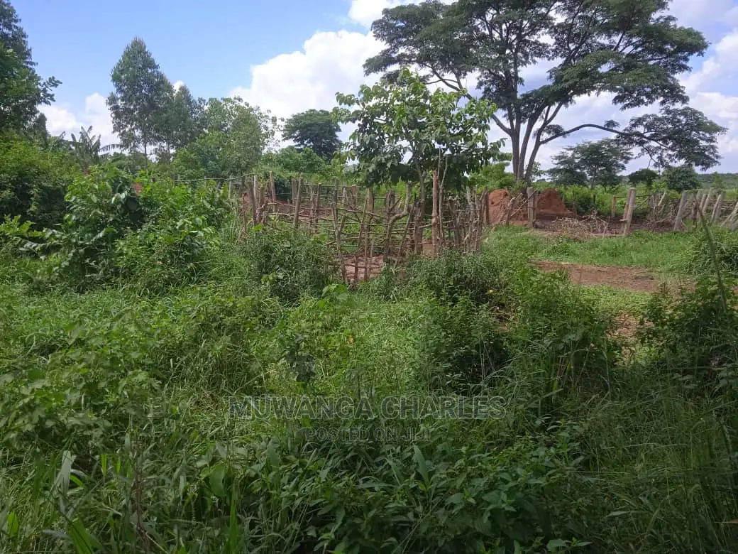 Land Available for Sale at Zirobwe Wabutungulu