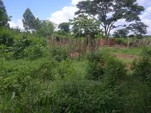 Land Available for Sale at Zirobwe Wabutungulu