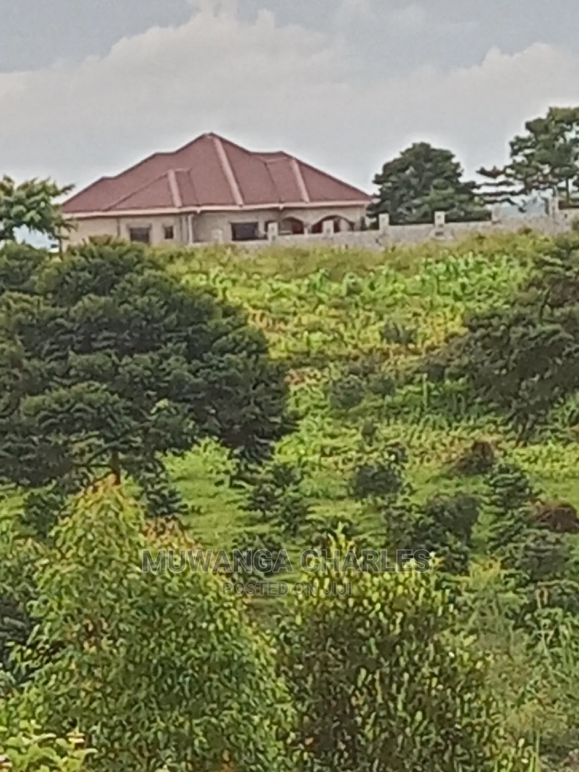 12decimal Plot for Sale at Kira