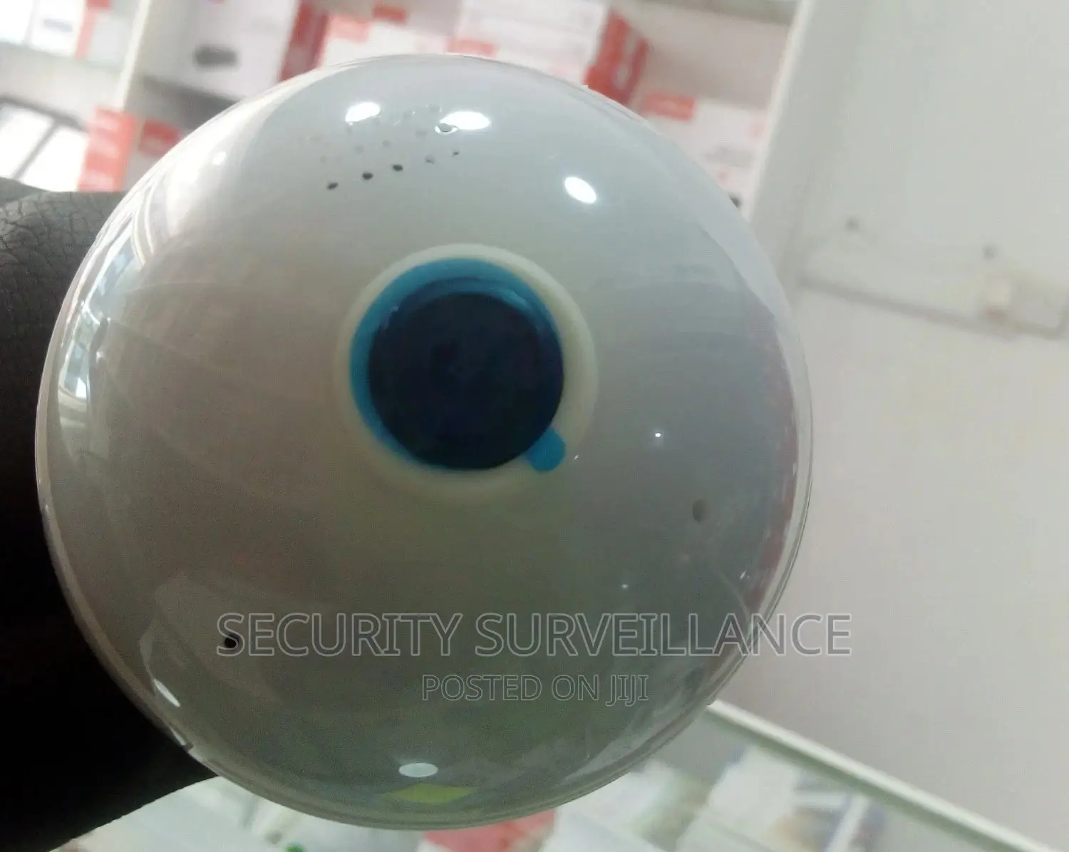 Bulb Camera