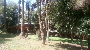 4bdrm Duplex in Kololo Property, Central Division for Rent