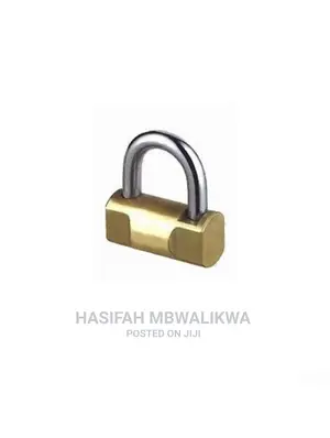 Stelar Security Padlock