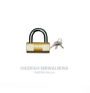Stelar Security Padlock