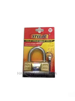 Stelar Security Padlock