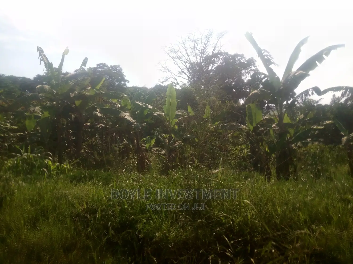 100acres at Nakasongola Lukoge