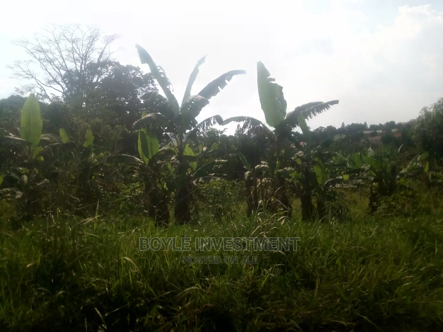 100acres at Nakasongola Lukoge