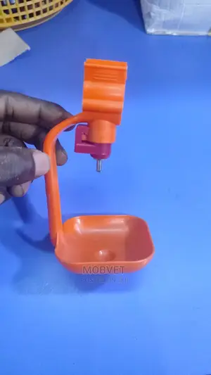 Cupped Nkoko Nipples