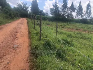Plot's Available for Sale at Kiwenda