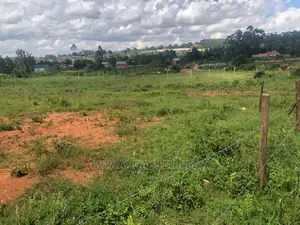 Plot's Available for Sale at Kiwenda