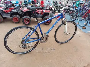 Chevaux Sports Bike