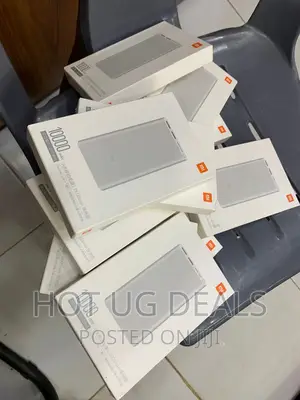 Xiaomi 10000mah 2 Mi Power Bank. - Silver