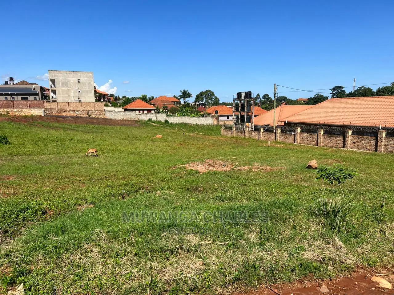 100by50ft Plot for Sale at Kynja Kungu