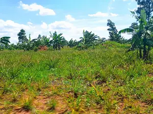 Land for Sale at Zirobwe Tongo