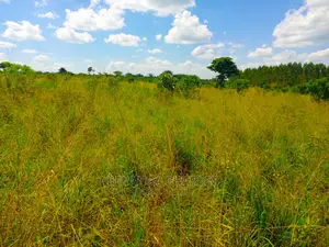 Land for Sale at Zirobwe Tongo