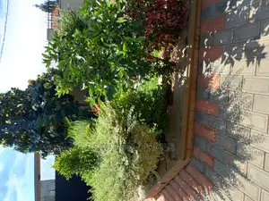 Furnished 4bdrm House in Kira for Sale
