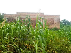Plot for Sale at Gayaza Kabubu