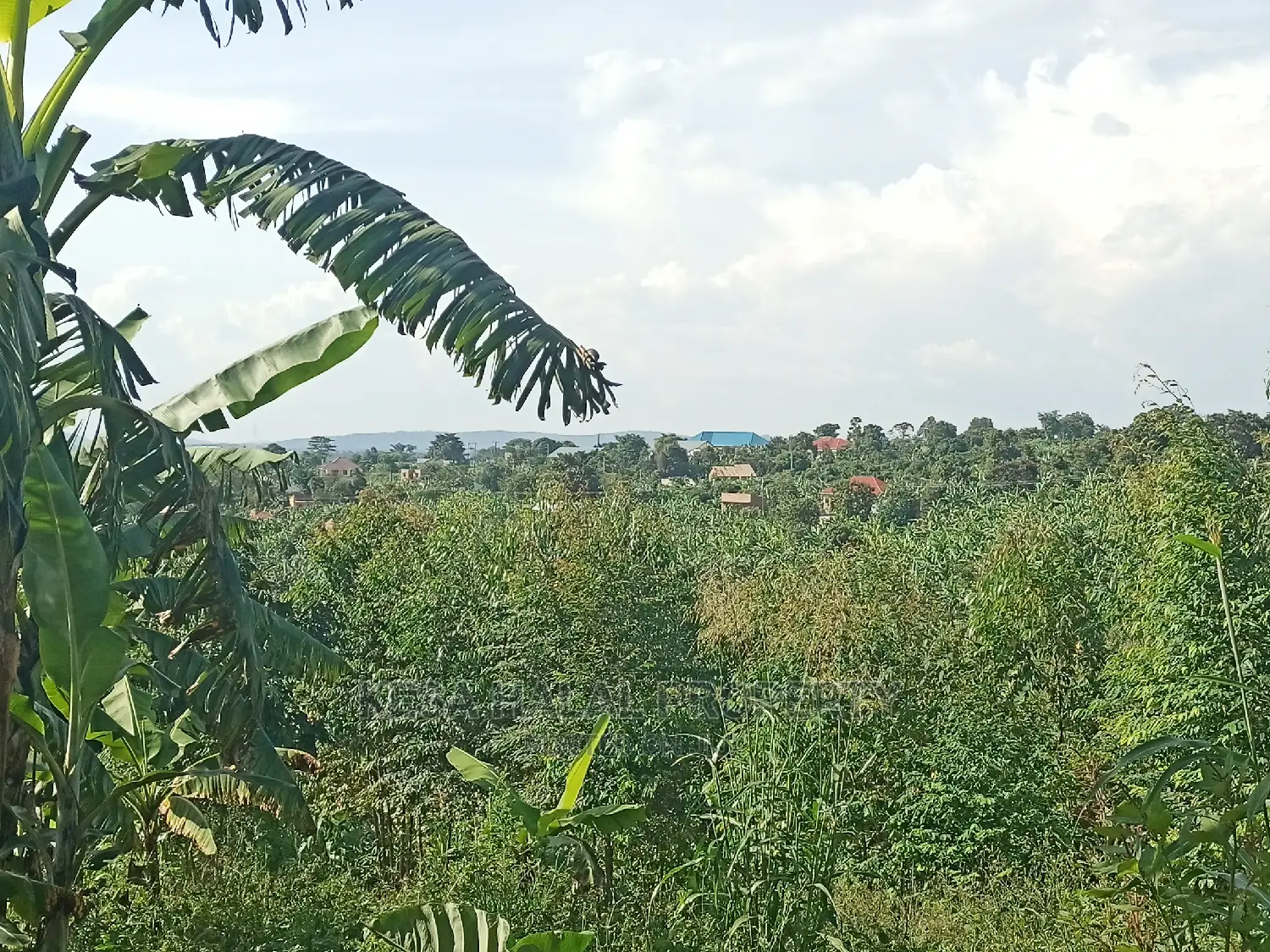 Good Lusuku on 19 DC Before Kalule Bombo Road