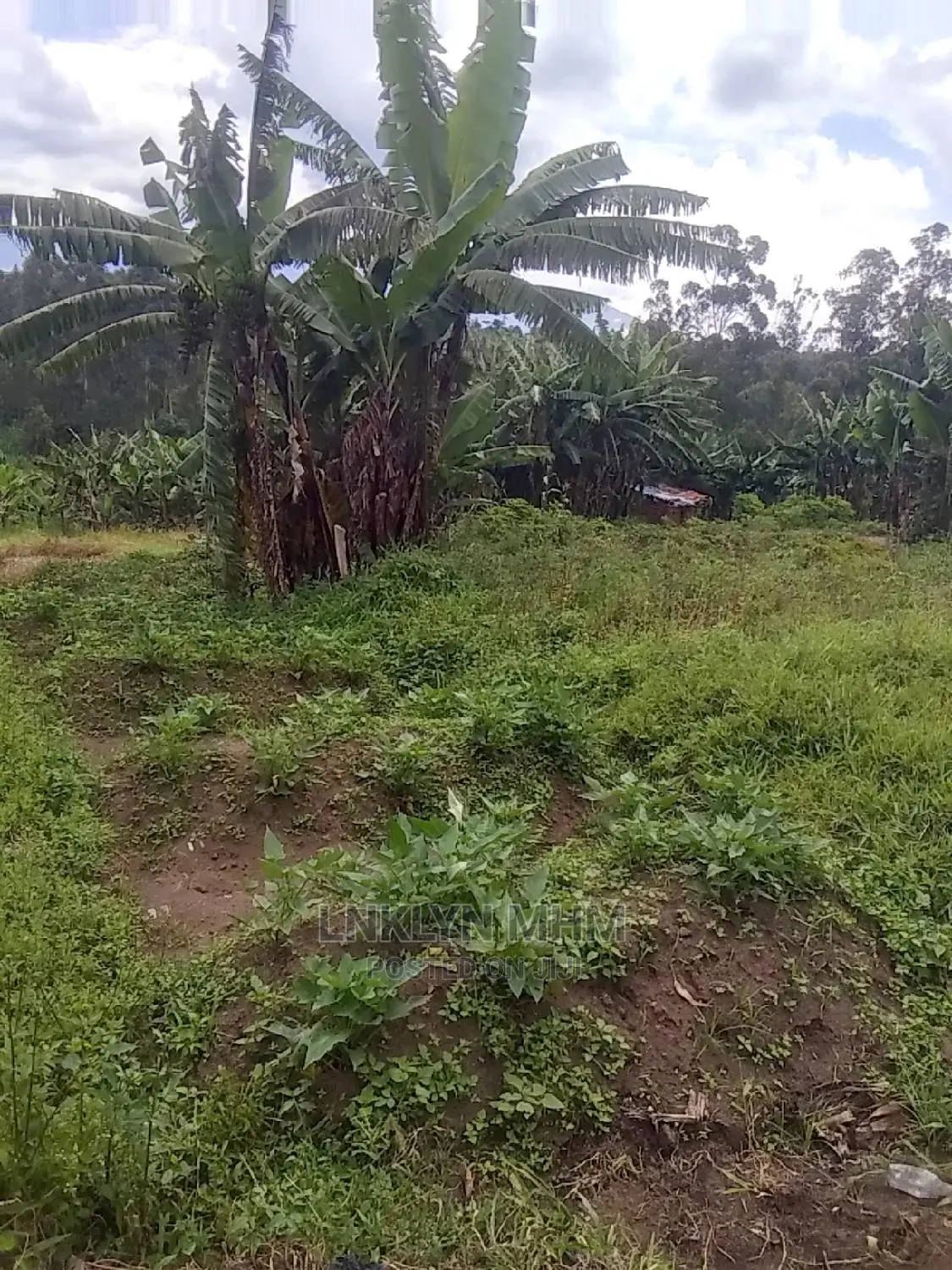 Plots for Sale Located in Kagote Fort Portal City