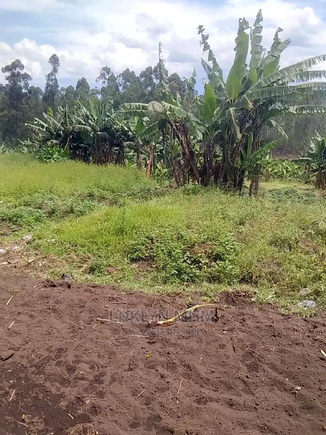 Plots for Sale Located in Kagote Fort Portal City