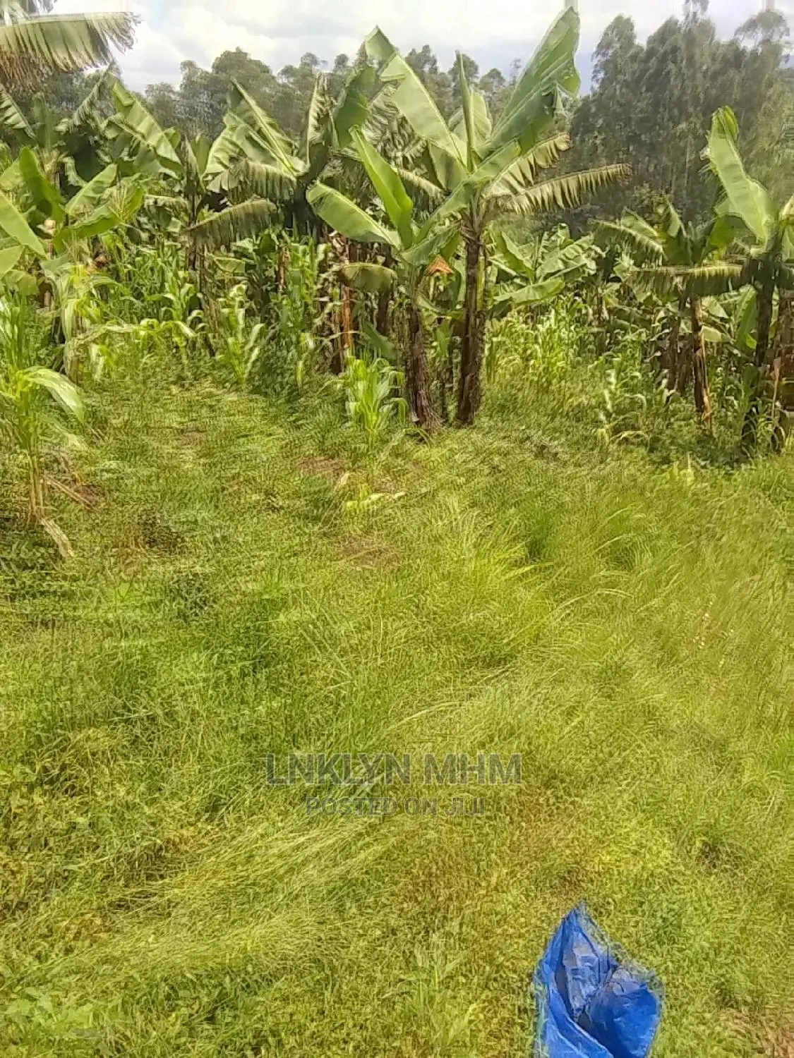 Plots for Sale Located in Kagote Fort Portal City