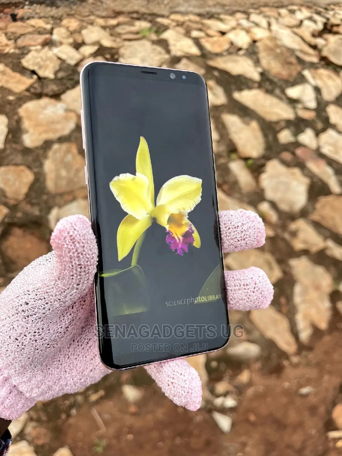 Samsung Galaxy S8 Plus 64 GB Pink