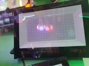 LED Flood Light