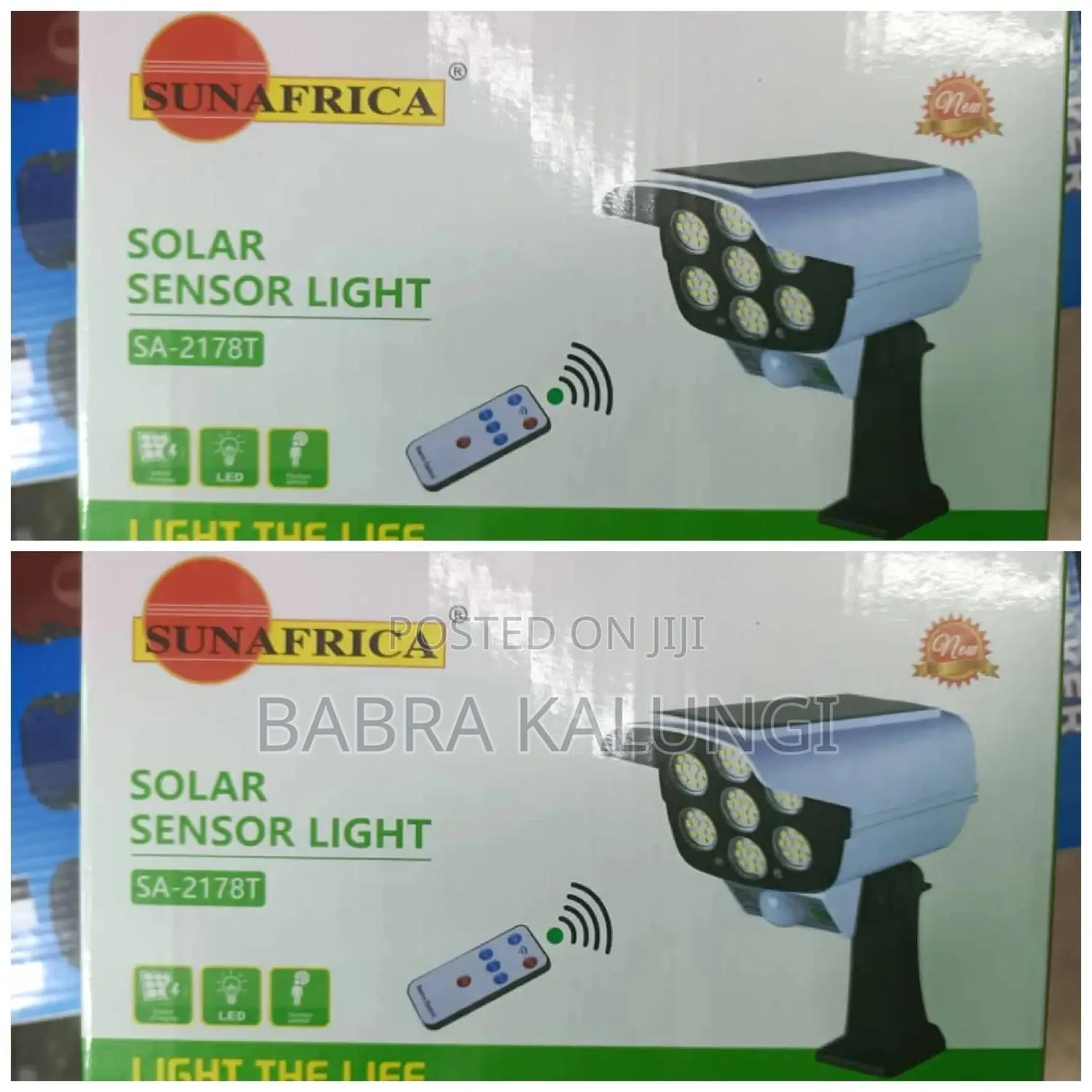 Solar Motion Sensor Light